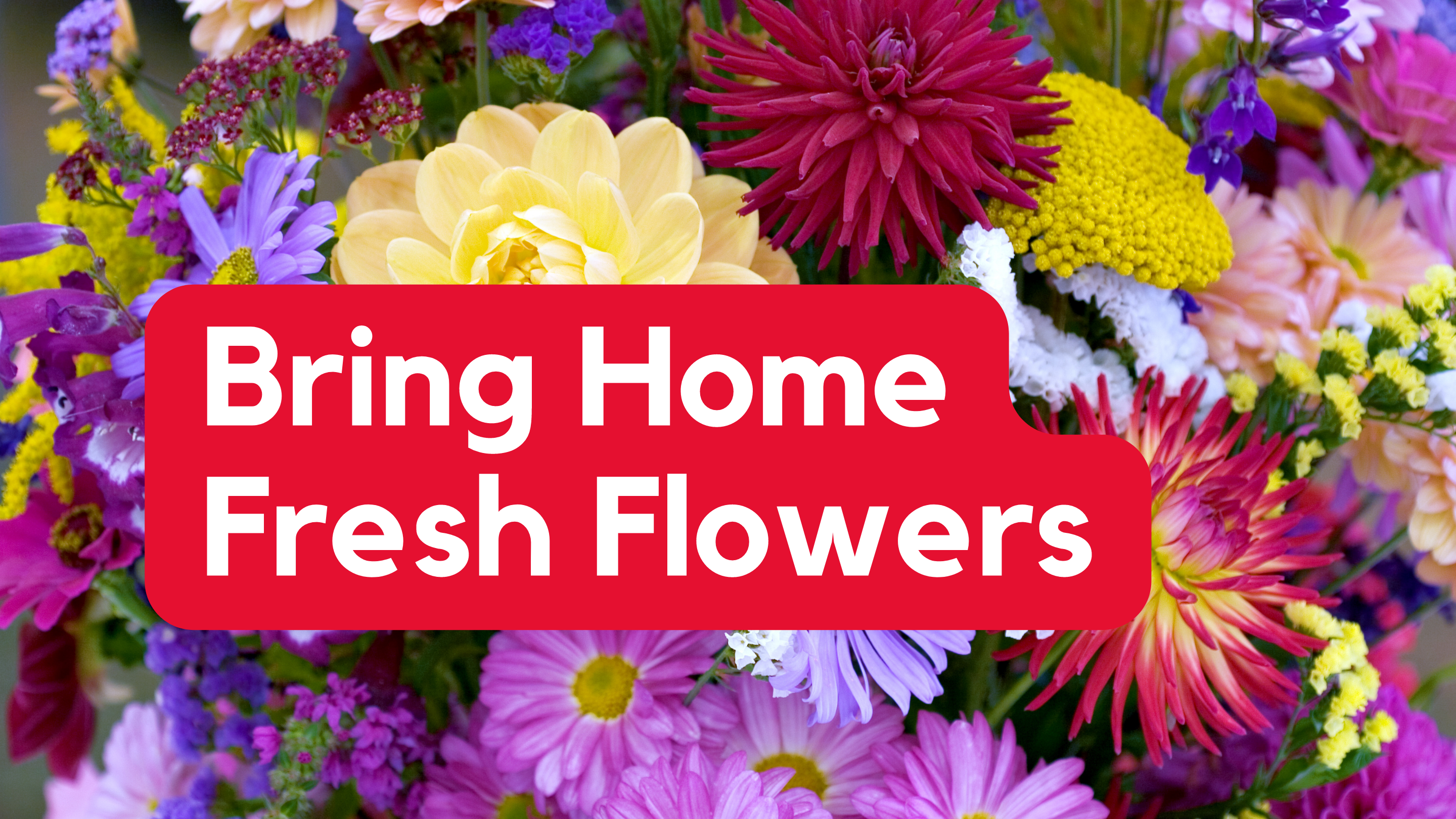 Bring Home Fresh Flowers